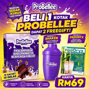 1 Kotak PROBELLEE